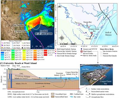 Organic matter composition and inorganic nitrogen response to Hurricane Harvey’s negative storm surge in Corpus Christi Bay, Texas